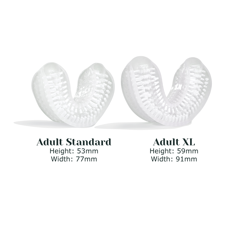 autobrush®: Double-sided Nylon Brush Head - 2 Pack